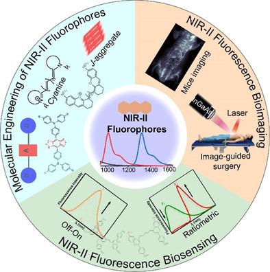 Molecular Engineering Of NIR-II Fluorophores For Improved Biomedical ...