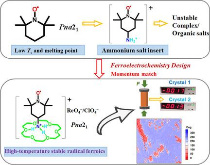 第一个高温超分子自由基铁化合物,Angewandte Chemie International 