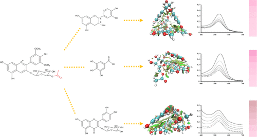 Malvidin 3 I O I 葡萄糖苷的乙酰化阻碍分子间共染色 实验和理论研究 Journal Of Agricultural And Food Chemistry X Mol