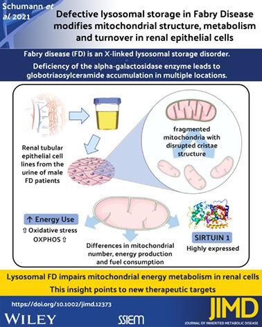 The spectrum of peripheral neuropathy in disorders of the mitochondrial ...