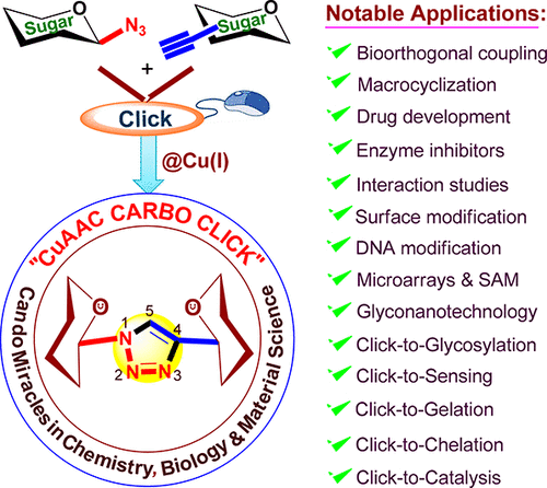 Cu(I)-Catalyzed Click Chemistry In Glycoscience And Their Diverse ...