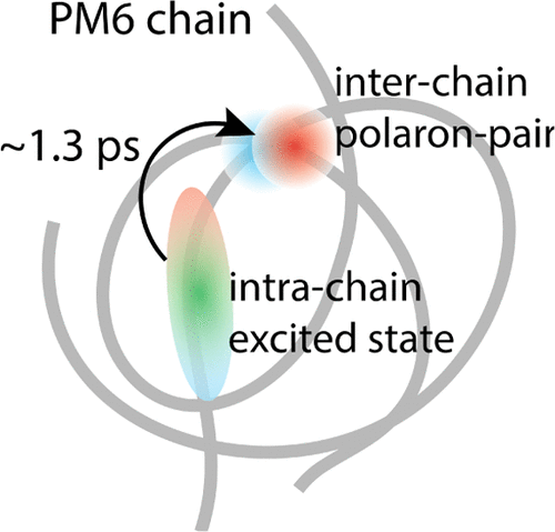 Interplay Between Intrachain And Interchain Excited States In Donor ...