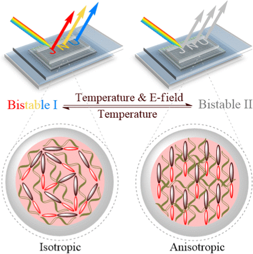 Biomimetic Solid–Liquid Transition Structural Dye-Doped Liquid Crystal ...