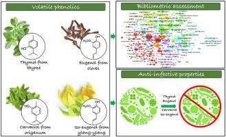 挥发性酚类 对一类重要精油成分的抗感染特性的全面审查 Phytochemistry X Mol