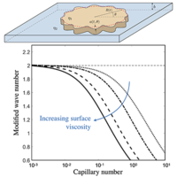 界面流变学对粘性指法的影响,Physical Review Fluids - X-MOL