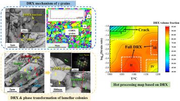 Ti-48Al-2Cr-2Nb合金热变形过程动态再结晶及热加工图,Materials Characterization - X-MOL