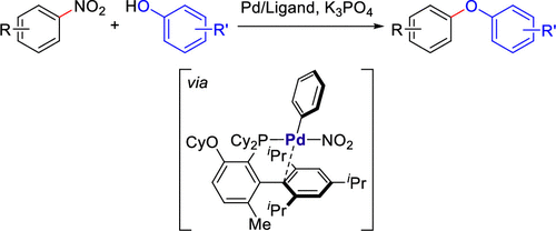 Pd Catalyzed Etherification Of Nitroarenes Organometallics X Mol