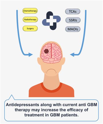 具有抗肿瘤潜力的抗抑郁药治疗胶质母细胞瘤 叙述性评论 Fundamental Clinical Pharmacology X Mol