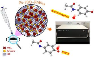 二茂铁还原氧化石墨烯 多金属氧酸盐基三元纳米复合材料作为对乙酰氨基酚的电化学检测 Talanta X Mol