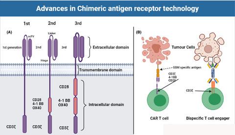 Current Progress In Chimeric Antigen Receptor T Cell Therapy For ...