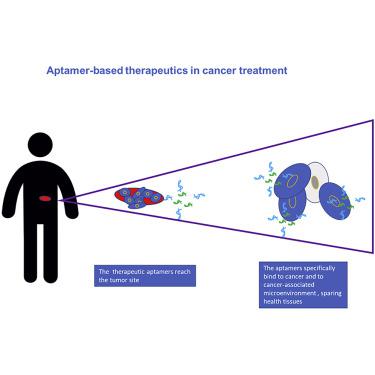 Aptamers: Cutting Edge Of Cancer Therapies,Molecular Therapy - X-MOL