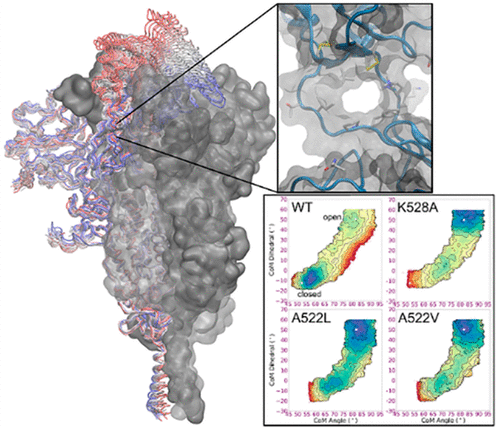 Free Energy Landscapes From Sars Cov Spike Glycoprotein Simulations Suggest That Rbd Opening