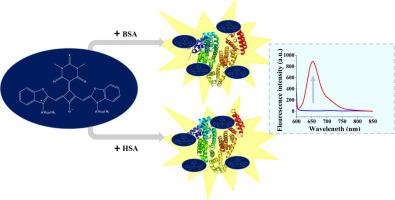 方酸染料作为血清白蛋白探针 合成 光物理实验和分子对接研究 Bioorganic Chemistry X Mol