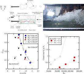 低弗劳德数下水跃中的两相气-水流动：相似性、尺度效应和现场观察的 