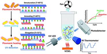 Plasmonic And Label Free Real Time Quantitative Pcr For Point Of Care Diagnostics Analyst X Mol