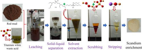 钛白废酸浸出和p4溶剂萃取从赤泥中回收钪 Hydrometallurgy X Mol