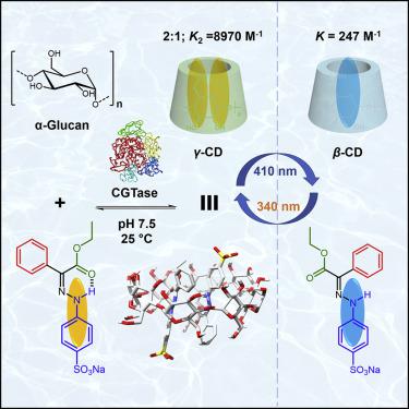 Dynamic Enzymatic Synthesis Of γ-cyclodextrin Using A Photoremovable ...