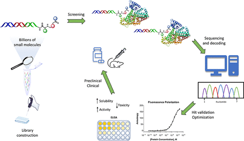 DNA-Encoded Chemical Libraries: A Comprehensive Review With Succesful ...