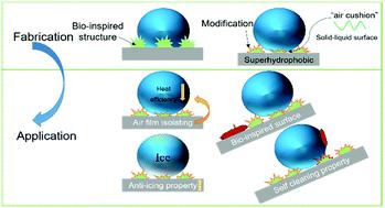 Fabrication Of A Micro/nanoscaled Hierarchical Structure Surface On ...