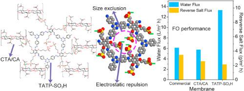 Sulfonated Covalent Organic Frameworks (COFs) Incorporated Cellulose ...