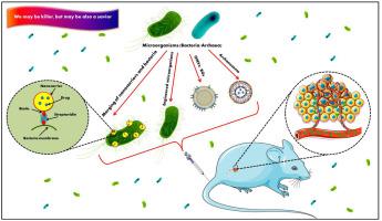 细菌和古细菌：癌症治疗的新时代,Journal of Controlled Release - X-MOL