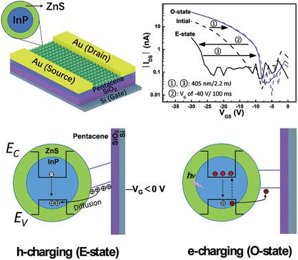 Ambipolar Charge Storage In Type I Core Shell Semiconductor Quantum Dots Toward Optoelectronic Transistor Based Memories Advanced Science X Mol