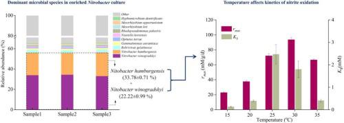 Temperature affects the oxidation kinetics of co-cultured Nitrobacter ...