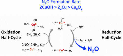 Influence Of ZCuOH, Z2Cu, And Extraframework CuxOy Species In Cu-SSZ-13 ...