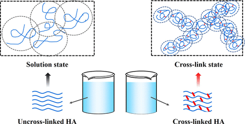 交联反应对微针药物扩散特性影响的细观模拟 Journal Of Chemical Information And Modeling X Mol