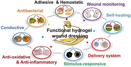 Functional Hydrogels As Wound Dressing To Enhance Wound Healing