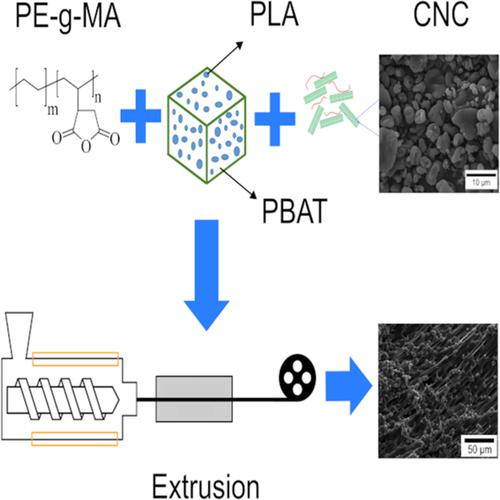 PBAT/PLA/cellulose Nanocrystals Biocomposites Compatibilized With ...