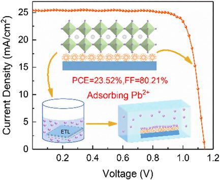 Multifunctional Molecule Engineered SnO2 For Perovskite Solar Cells ...