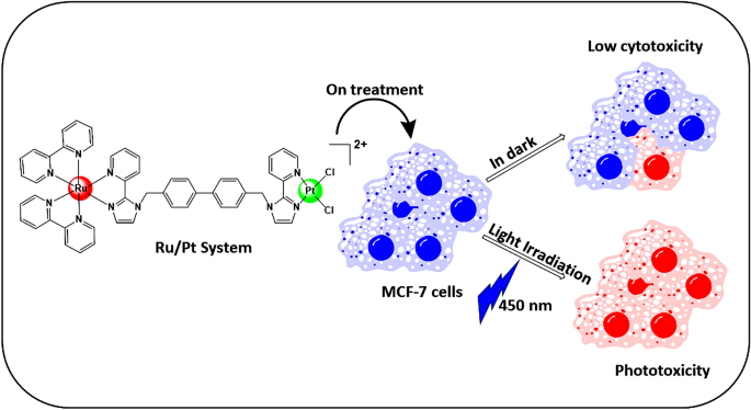 Mcf 7细胞中异双金属ru Ii Pt Ii 多吡啶配合物诱导的光活化细胞毒性 Journal Of Chemical Sciences X Mol