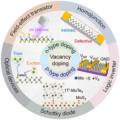 Single-Atom Vacancy Doping In Two-Dimensional Transition Metal ...