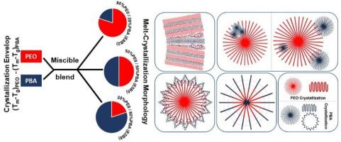 Fascinating Morphology And Crystallization Behavior Of Melt Miscible ...