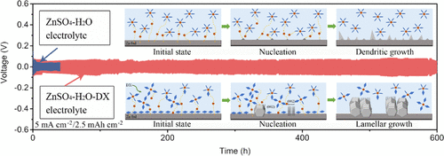 Cyclic Ether–Water Hybrid Electrolyte-Guided Dendrite-Free Lamellar ...