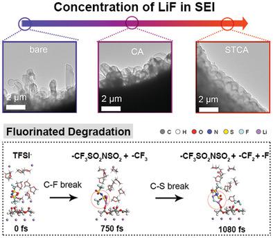 Marrying Ester Group With Lithium Salt: Cellulose-Acetate-Enabled LiF ...