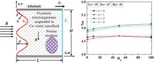 Role of surface undulation during mixed bioconvective nanofluid