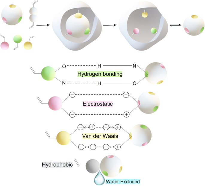 Magnetic Molecularly Imprinted Polymers In Electrochemical Sensors And