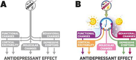 A wake-up call: Sleep physiology and related translational