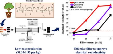 Electrical conductivity of polymer composites based on carbonized