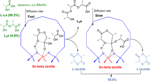 Controlled Synthesis Of L-Lactide Using Sn-Beta Zeolite Catalysts In A ...