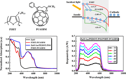 Use of Organic Polymer P3HT:PC61BM as the Active Layer to Improve 