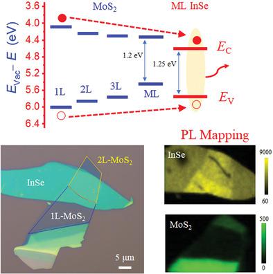 Tailoring The Energy Funneling Across The Interface In Inse Mos2 Heterostructures By Electrostatic Gating And Strain Engineering Advanced Optical Materials X Mol