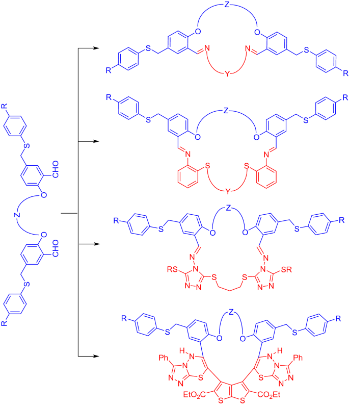 Effective synthesis of new benzo-fused macrocyclic and ...