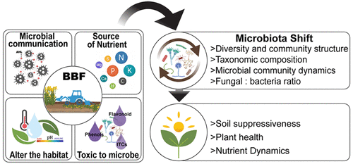 芸苔生物熏蒸剂与土壤微生物群之间的相互作用 原因和影响 Journal Of Agricultural And Food Chemistry X Mol