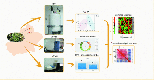 Investigation of the Geographical Environment Impact on the