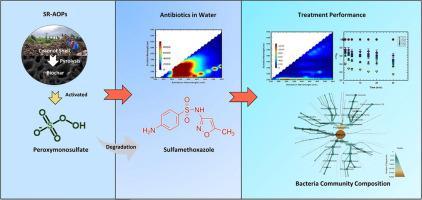无金属生物炭活化过硫酸盐以去除水中的磺胺类抗生素和相关细菌群落组成 Bioresource Technology X Mol