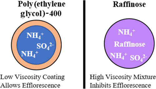 Seeded Crystal Growth Of Internally Mixed Organic–Inorganic Aerosols ...