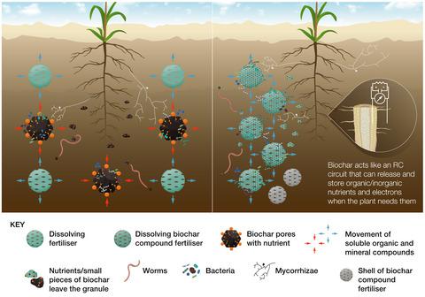 How Biochar Works, And When It Doesn't: A Review Of Mechanisms ...